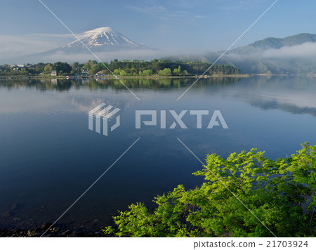 春天新綠色Kawaguchiko 21703924