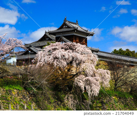 Koriyama Castle Koriyama Castle 21704049