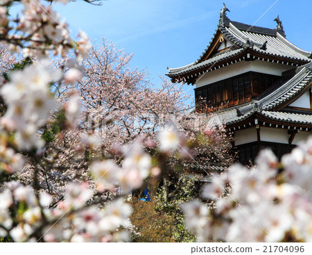 Koriyama Castle Koriyama Castle 21704096