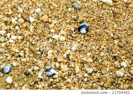 Sand with shells at the lake Sand with shells at the lake 21704482