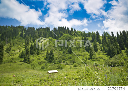 Mountain landscape Trans-Ili Alatau Mountain landscape Trans-Ili Alatau 21704754