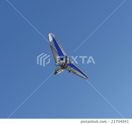 gliders flying in the sky 21704841