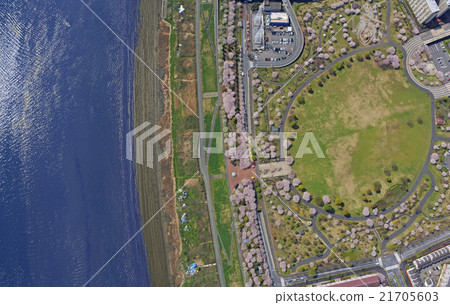 小松河Senbonzakura /航拍照片 21705603