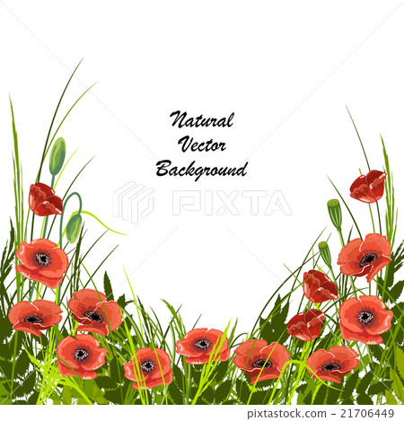 Natural vector background. 21706449