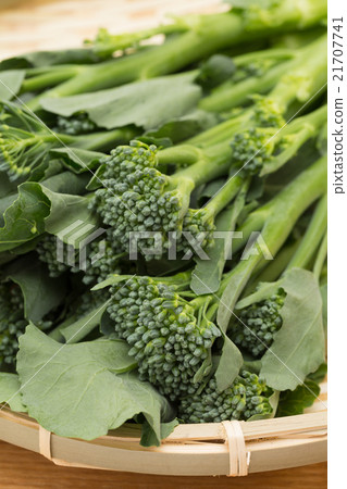 Stick broccoli Stick broccoli 21707741