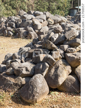筑波石 21708057