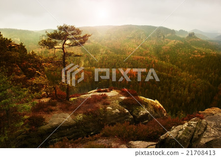 View through branches to deep misty valley View through branches to deep misty valley 21708413