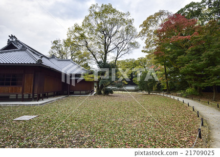 京都御苑神社支柱遺址 京都御苑神社支柱遺址 21709025
