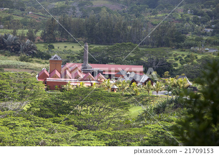 Factory - the museum on production of rum. Mauriti 21709153