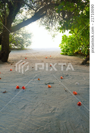 tropical beach landscape tropical beach landscape 21710090