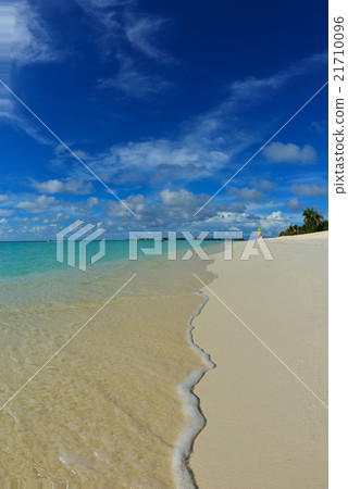 tropical beach tropical beach 21710096