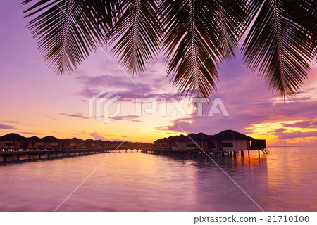 tropical beach tropical beach 21710100
