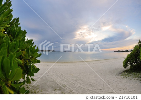 tropical beach 21710101