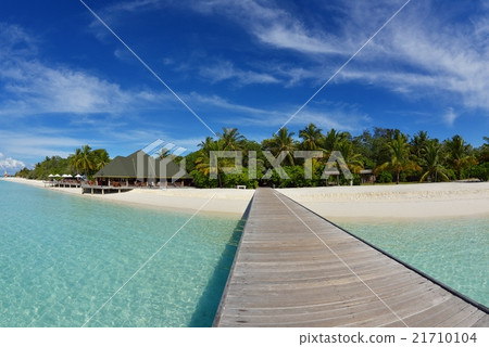 tropical beach tropical beach 21710104