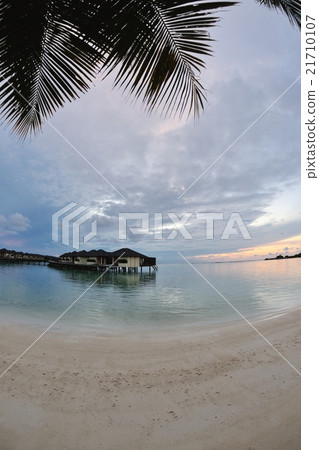 tropical beach tropical beach 21710107