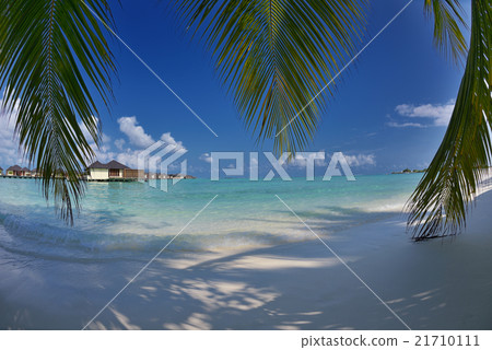tropical beach tropical beach 21710111