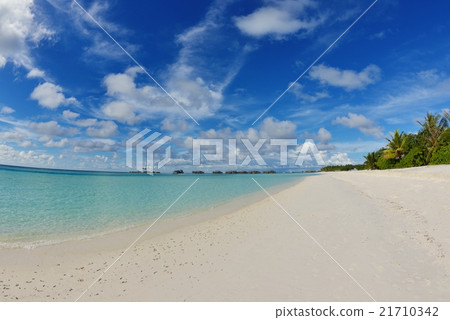 tropical beach 21710342