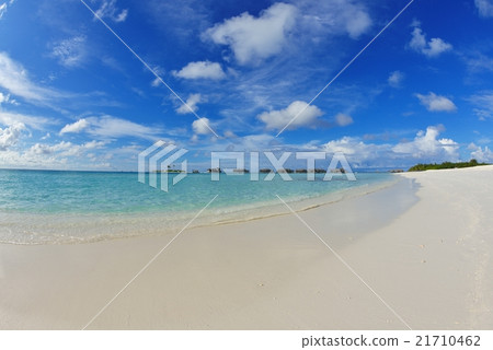 tropical beach tropical beach 21710462