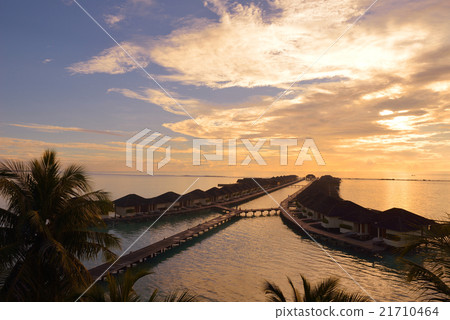 tropical beach tropical beach 21710464