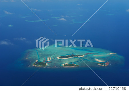 tropical beach tropical beach 21710468