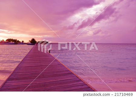 tropical beach tropical beach 21710469