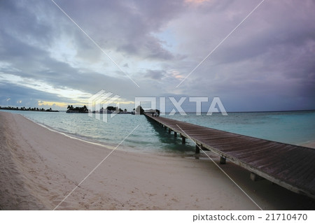 tropical beach 21710470