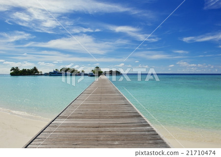 tropical beach tropical beach 21710474