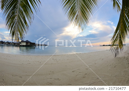 tropical beach tropical beach 21710477