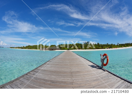 tropical beach tropical beach 21710480