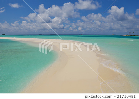 tropical beach tropical beach 21710481