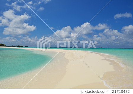 tropical beach 21710482