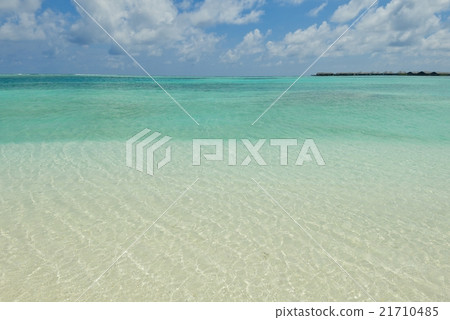 tropical beach tropical beach 21710485