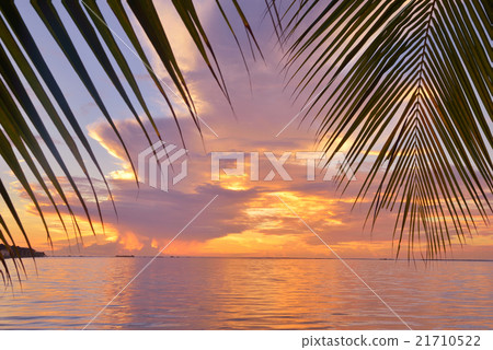 tropical beach tropical beach 21710522