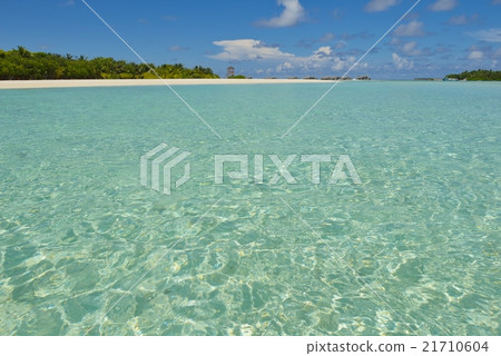 tropical beach tropical beach 21710604