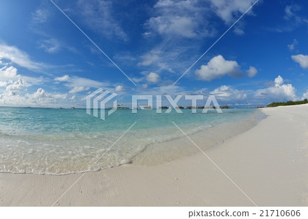 tropical beach tropical beach 21710606
