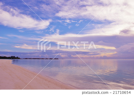 tropical beach tropical beach 21710654