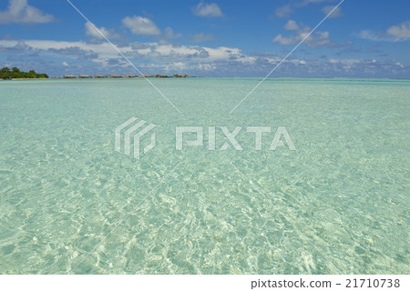 tropical beach tropical beach 21710738
