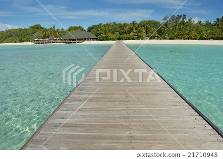 tropical beach tropical beach 21710948