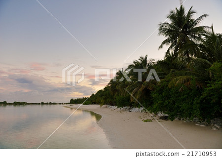 tropical water home villas tropical water home villas 21710953