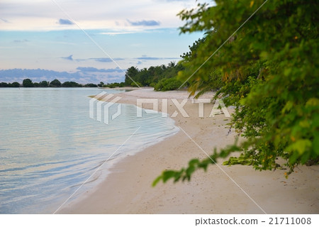 tropical beach landscape tropical beach landscape 21711008