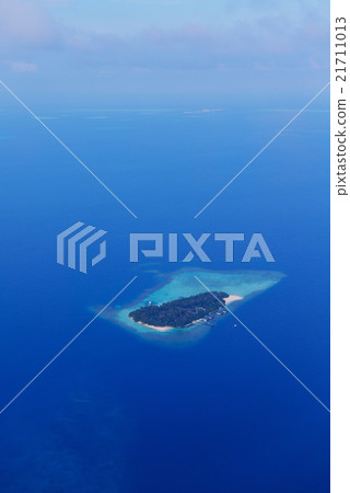 tropical beach tropical beach 21711013