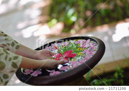 female hand and flower in water female hand and flower in water 21711208