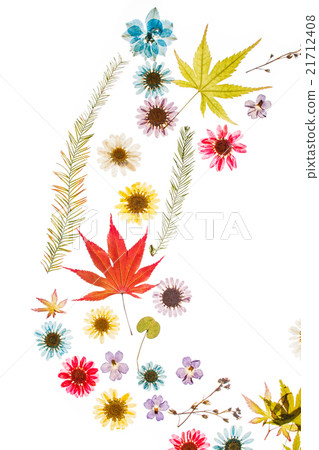 summer flowers summer flowers 21712408