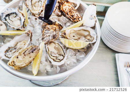 oysters oysters 21712526