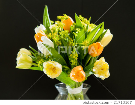 spring flowers spring flowers 21713167