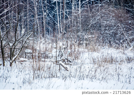 winter landscape winter landscape 21713626