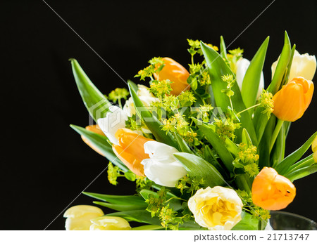 spring flowers 21713747