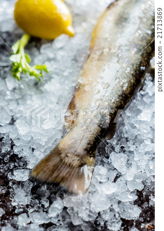 fresh fish fresh fish 21713869