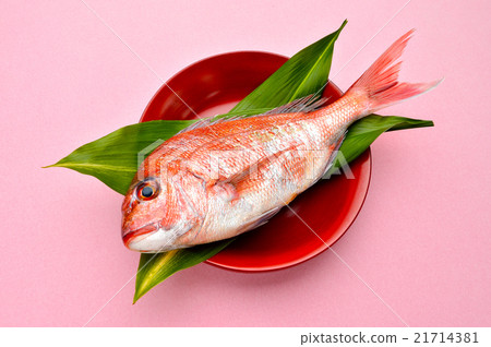 Lake Hamana, natural minced sea bream of Osaka port (red sea bream / hope). 21714381