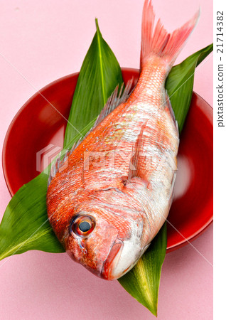 Lake Hamana, natural minced sea bream of Osaka port (red sea bream / hope). Lake Hamana, natural minced sea bream of Osaka port (red sea bream / hope). 21714382